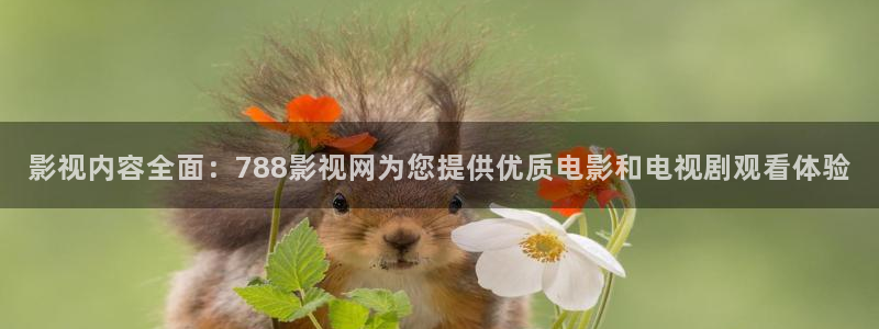 樱桃影视在线观看高清电视剧命悬一：影视内容全面：788影视网为您提供优质电影和电视剧观看体验