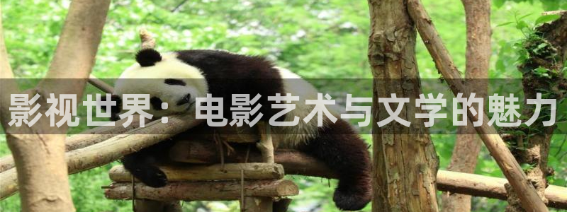 樱桃图片大全高清图片：影视世界：电影艺术与文学的魅力