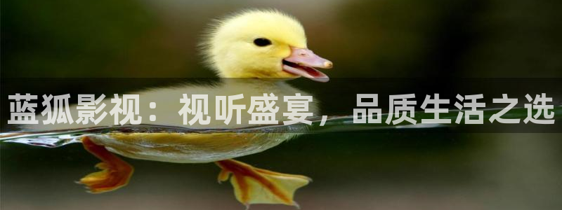 湖北樱桃：蓝狐影视：视听盛宴，品质生活之选