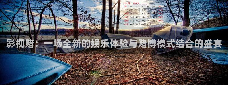 樱桃的栽培视频：影视赌：一场全新的娱乐体验与赌博模式结合的盛宴