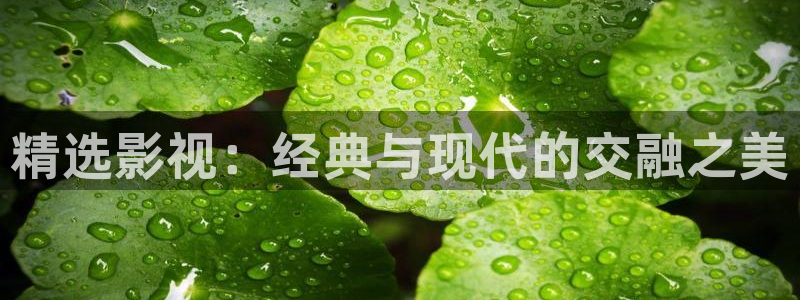 红樱桃影视：精选影视：经典与现代的交融之美
