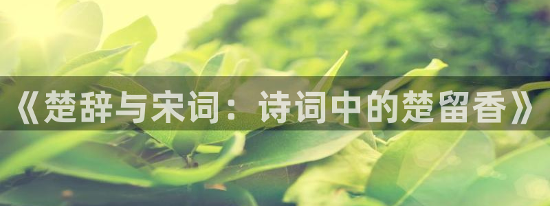 樱桃影院在线观看免费高清电视剧分家是：《楚辞与宋词：诗词中的楚留香》