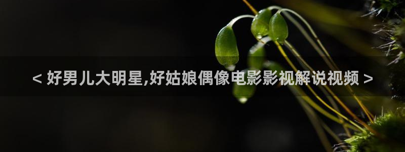 樱桃视频下载app下载安装