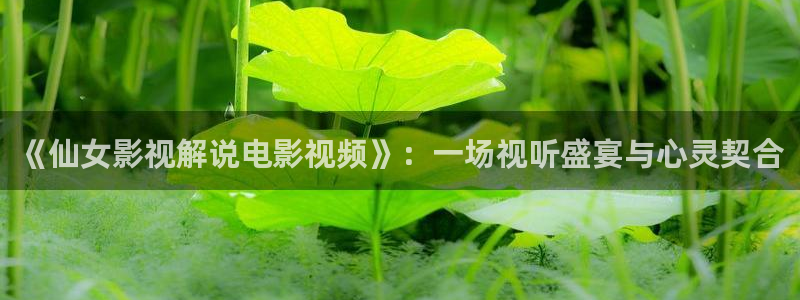 樱桃视频.apk