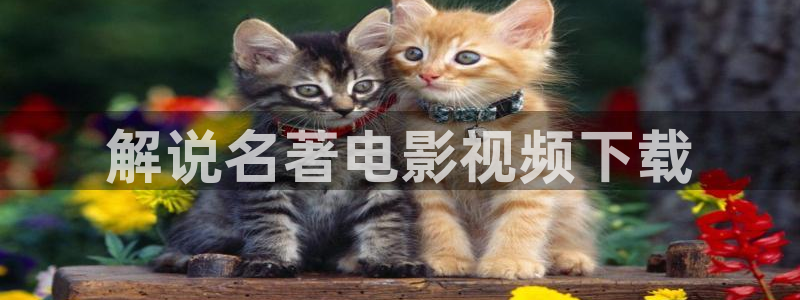 成版人性视频app樱桃
