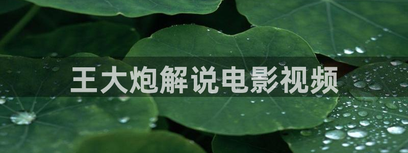 樱桃成人短视频
