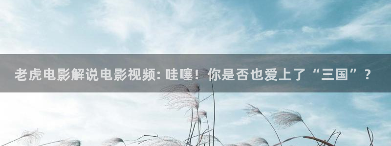 免费樱桃在线观看网站：老虎电影解说电影视频: 哇噻！你是否也爱上了“三国”？
