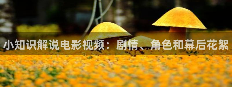 com.樱桃视频：小知识解说电影视频：剧情、角色和幕后花絮