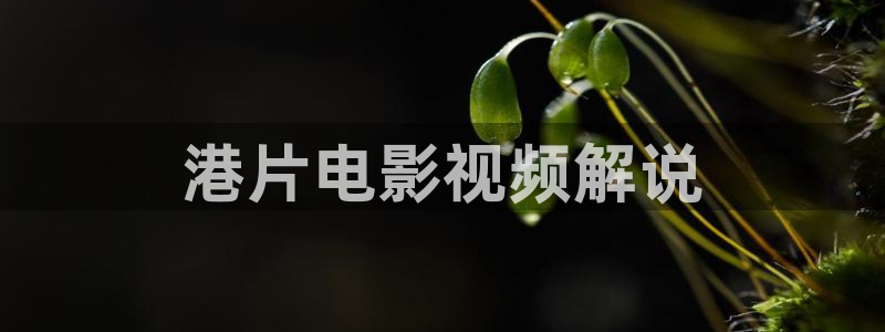 小樱桃直播视频：港片电影视频解说