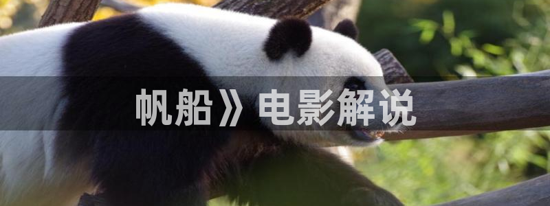 樱桃电影在线观看免费完整版