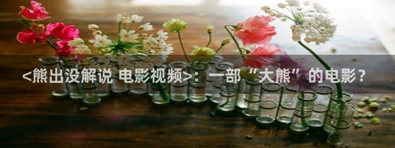 樱桃视频中文字幕：<熊出没解说 电影视频>：一部“大熊”的电影？