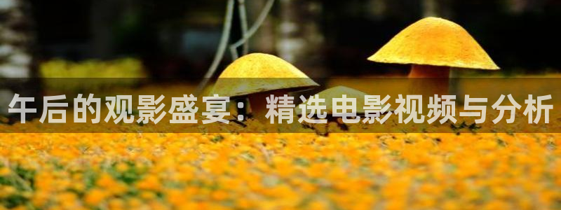 嗯樱桃视频：午后的观影盛宴：精选电影视频与分析