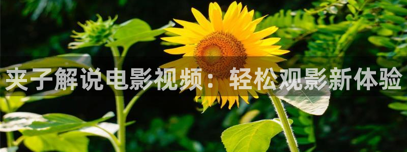 樱桃视频app大全：夹子解说电影视频：轻松观影新体验