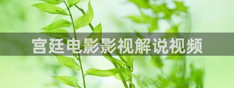 樱桃apk：宫廷电影影视解说视频