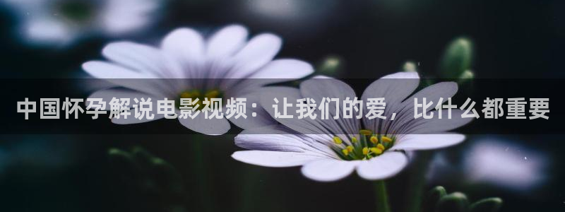 采摘樱桃视频：中国怀孕解说电影视频：让我们的爱，比什么都重要