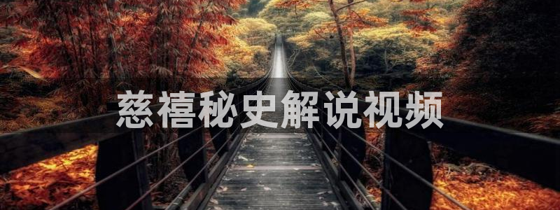 樱桃视频免费直播：慈禧秘史解说视频