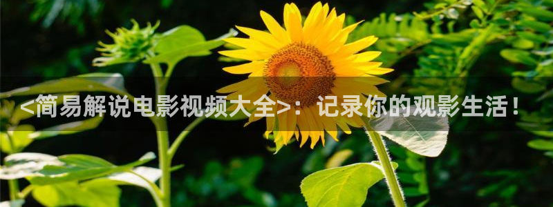 樱桃辽宁：<简易解说电影视频大全>：记录你的观影生活！