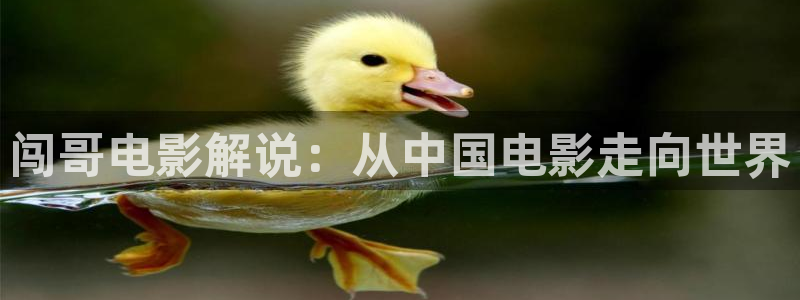 樱桃视频隐藏入口：闯哥电影解说：从中国电影走向世界