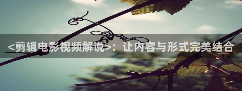 樱桃果干的制作方法视频