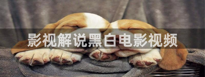 樱桃视频你懂得：影视解说黑白电影视频