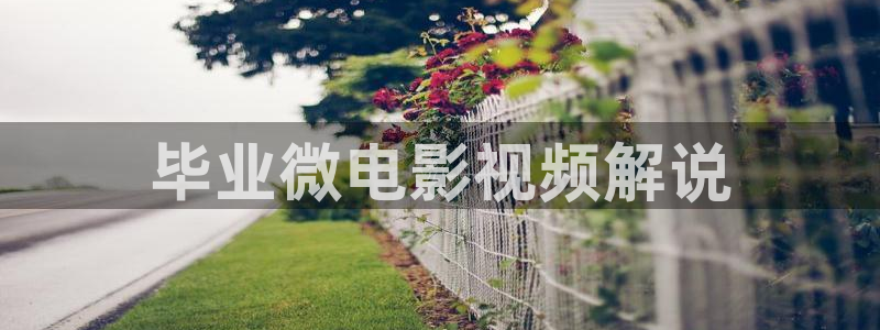 樱桃 免费视频：毕业微电影视频解说