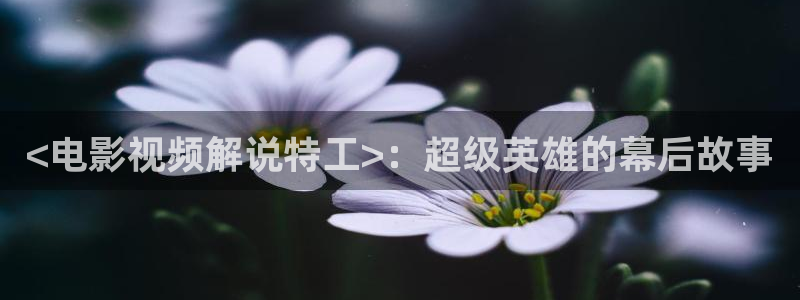 樱桃红视频官网下载：<电影视频解说特工>：超级英雄的幕后故事