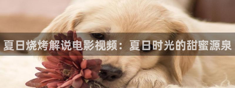 樱桃视频在线观看大全：夏日烧烤解说电影视频：夏日时光的甜蜜源泉