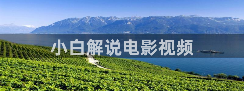 樱桃浙江：小白解说电影视频