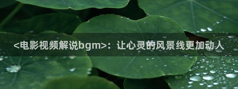 樱桃视频官网在线观看：<电影视频解说bgm>：让心灵的风景线更加动人