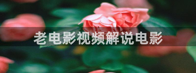 樱桃视频网站大全：老电影视频解说电影
