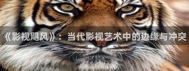 樱桃视频影院：《影视飓风》：当代影视艺术中的边缘与冲突