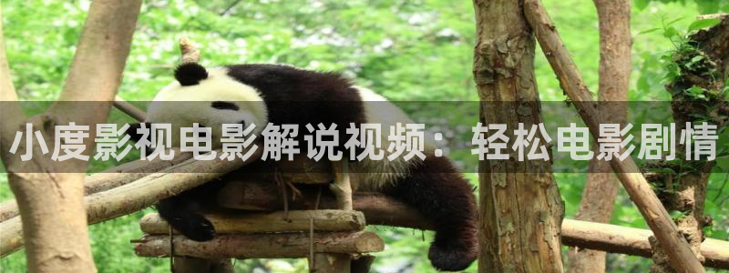 樱桃大棚栽培技术视频：小度影视电影解说视频：轻松电影剧情