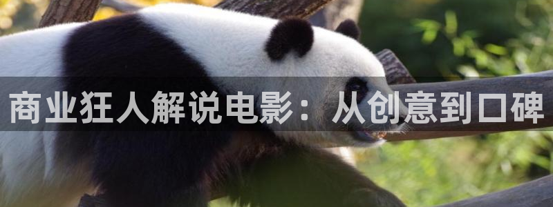 樱桃视频下载了