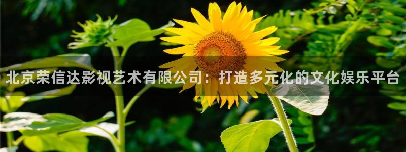 樱桃视频什么好看