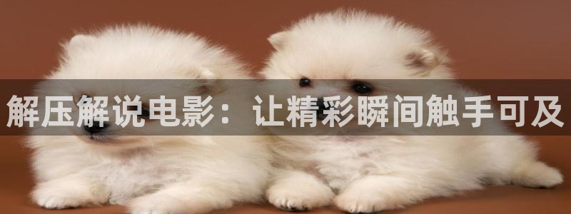 樱桃视频高清免费观看在线