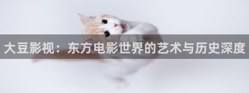 樱桃高清视频影视免费看