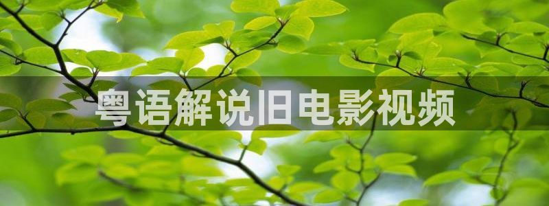 樱桃影院电视剧在线播放