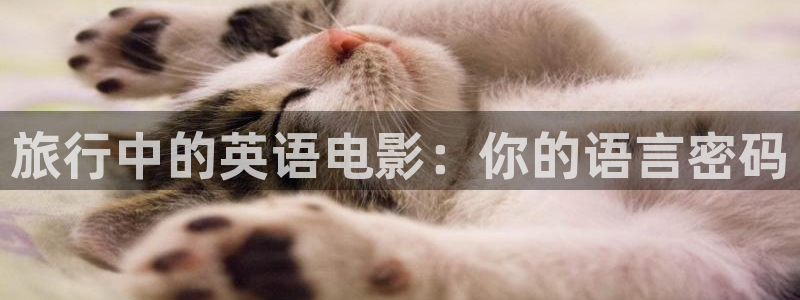 樱桃s直播视频