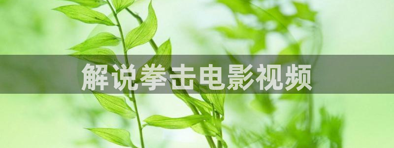 免费看樱桃
