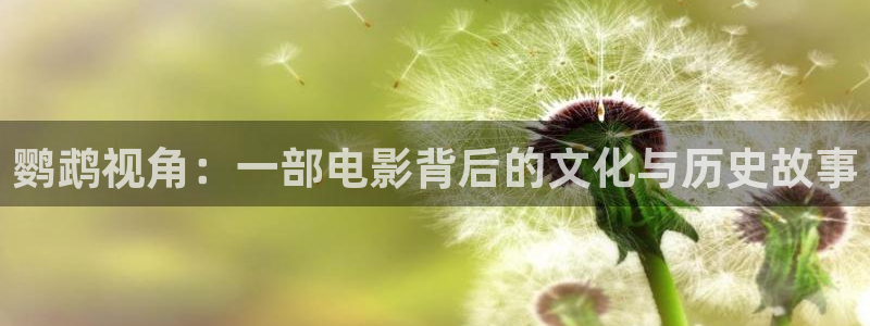 樱桃视频免费观看大全