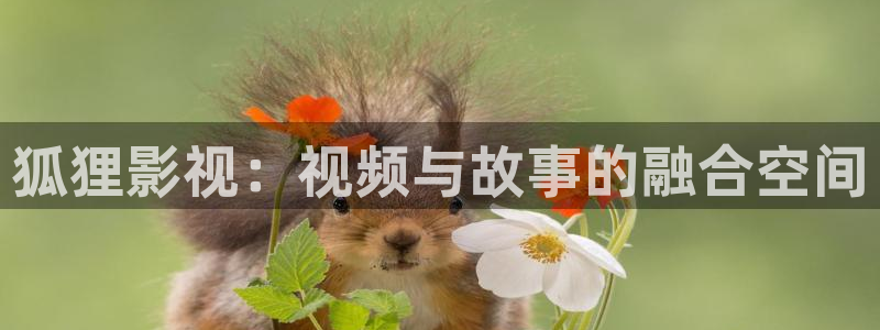 樱桃线观看视频