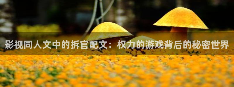 电视剧樱桃红免费视频观看